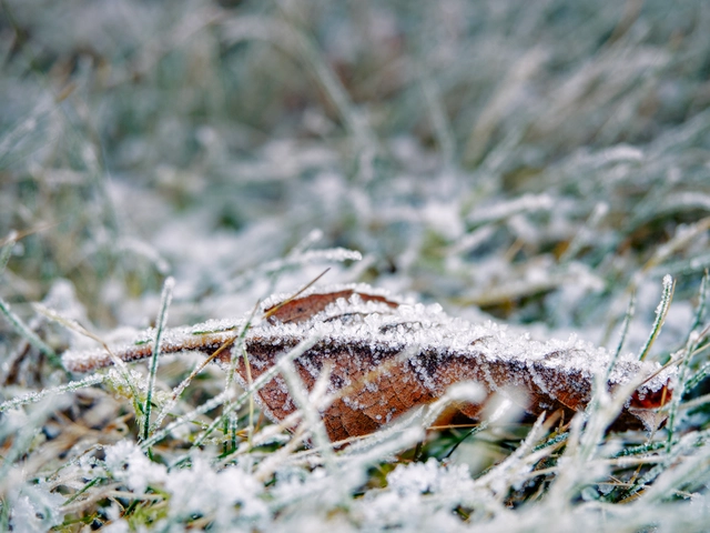 Winter